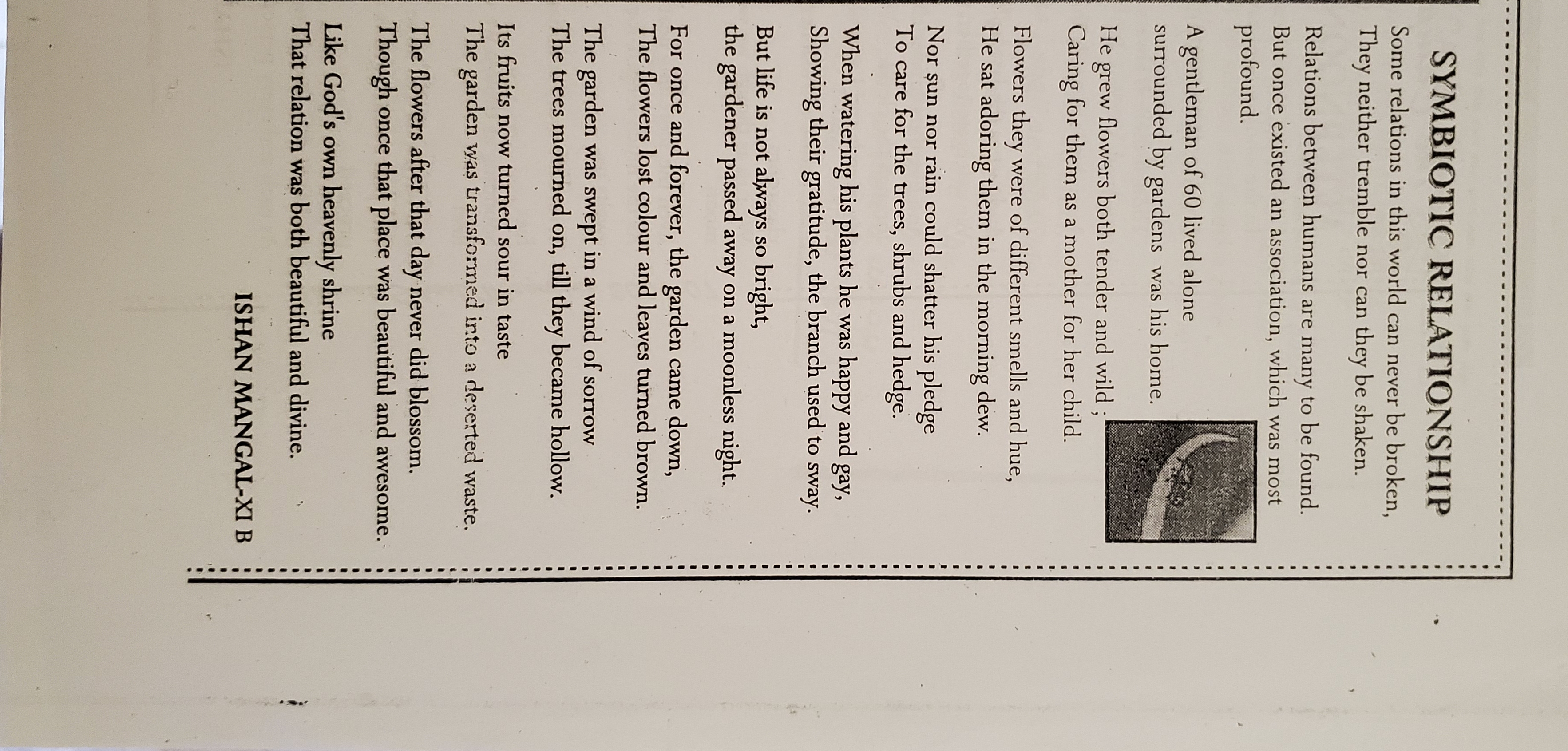 Symbiotic Relationship